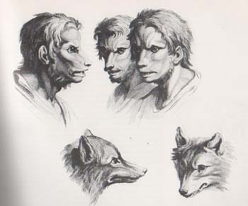 Charles Le Brun, 17th century lithographic study showing the relationship between human and wolf physiognomy — one of the earliest serious European visual treatments of the loup garou tradition