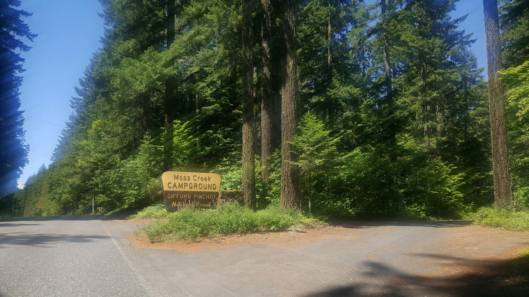 A forest road inside the Land Between the Lakes National Recreation Area — the Moss Creek section of the park was subsequently gated and closed to overnight camping
