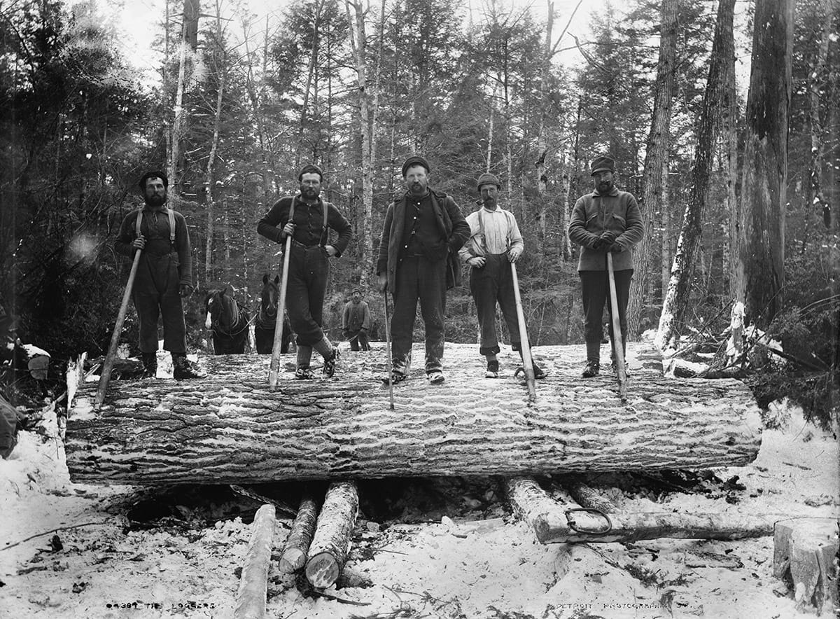 Michigan logging camp during the white pine boom circa 1887 — the era of the first documented Michigan Dogman encounter near the Garland Swamp in Wexford County