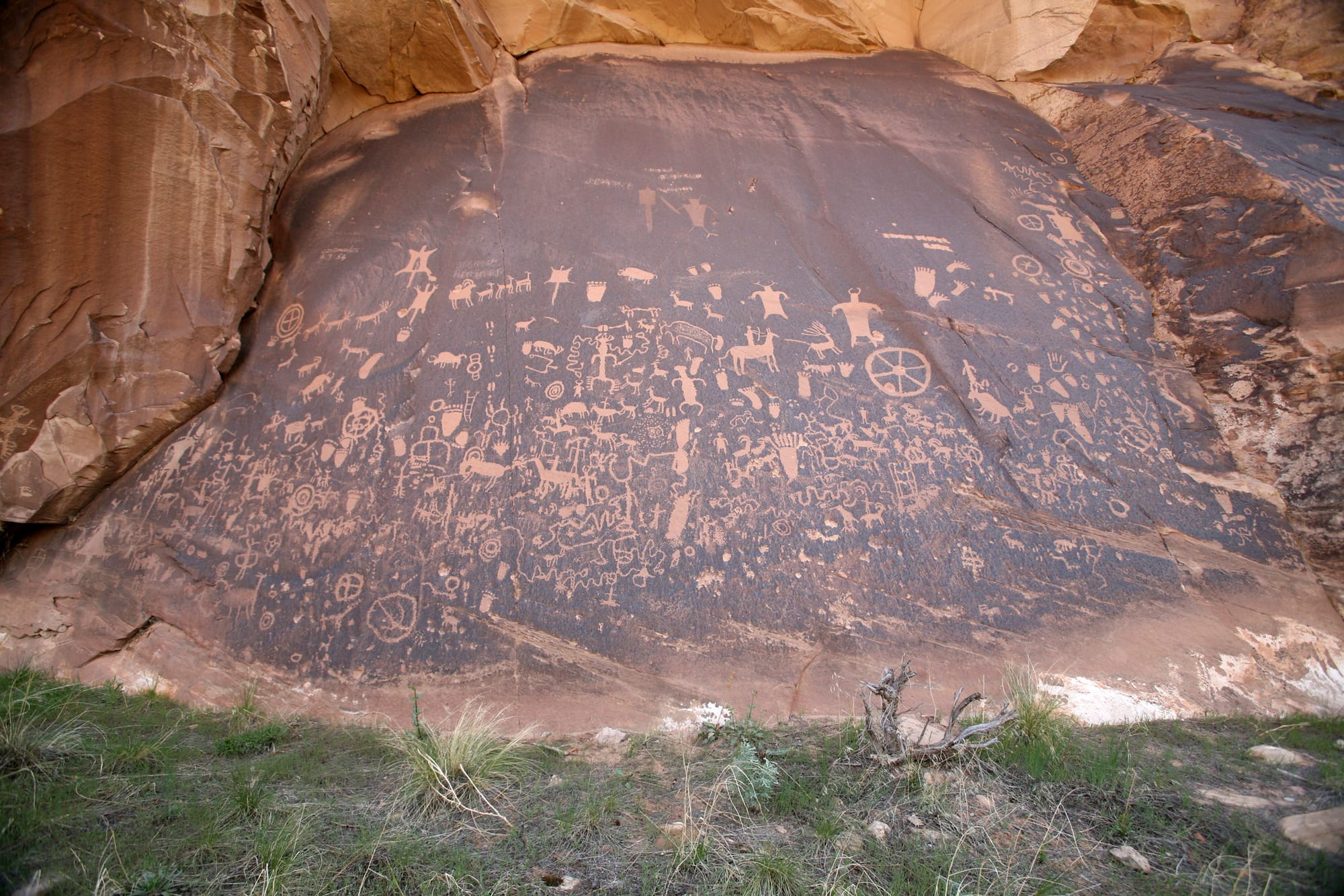 Navajo Nation petroglyphs depicting animal-human hybrid figures — images of the boundary between human and animal form appear throughout the pre-contact rock art of the American Southwest, predating written documentation of the yee naaldlooshii tradition by centuries