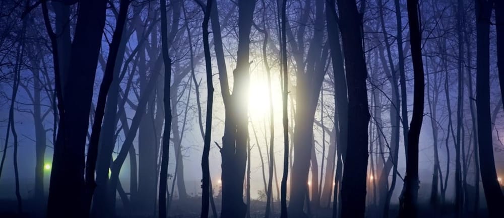 Rendlesham Forest UFO Incident (1980): Cold War Encounter at RAF Bentwaters