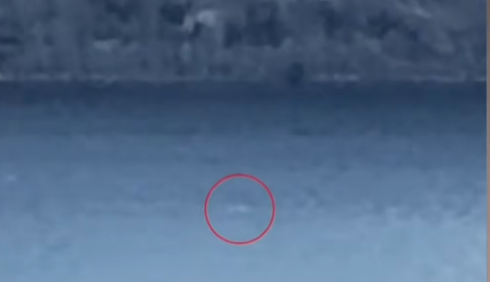 Fast-Moving Anomaly Filmed at Loch Ness May be First 'Monster' Sighting of 2026