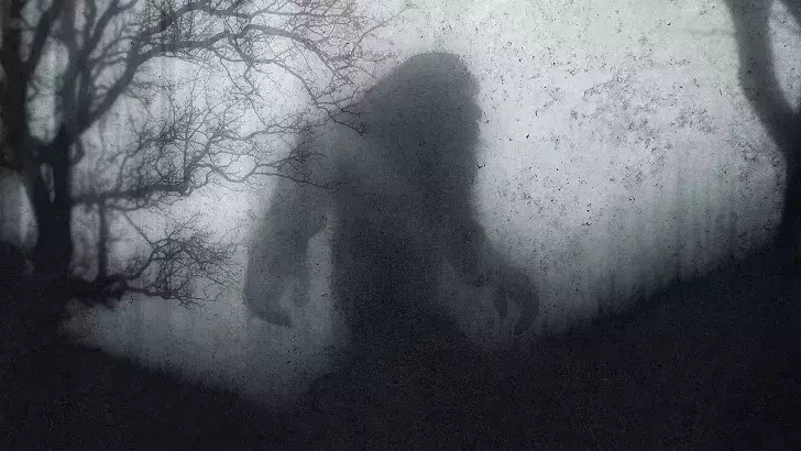Bigfoot Sightings Reported in Ohio Stir Local Interest