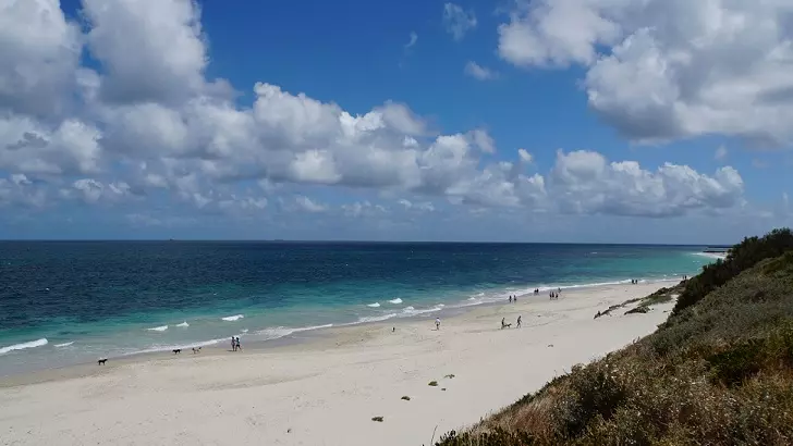 Mysterious Large Creature Captured on Webcam Off Australian Coast