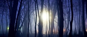 Rendlesham Forest UFO Incident (1980): Cold War Encounter at RAF Bentwaters