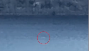 Fast-Moving Anomaly Filmed at Loch Ness May be First 'Monster' Sighting of 2026