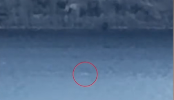 Fast-Moving Anomaly Filmed at Loch Ness May be First 'Monster' Sighting of 2026